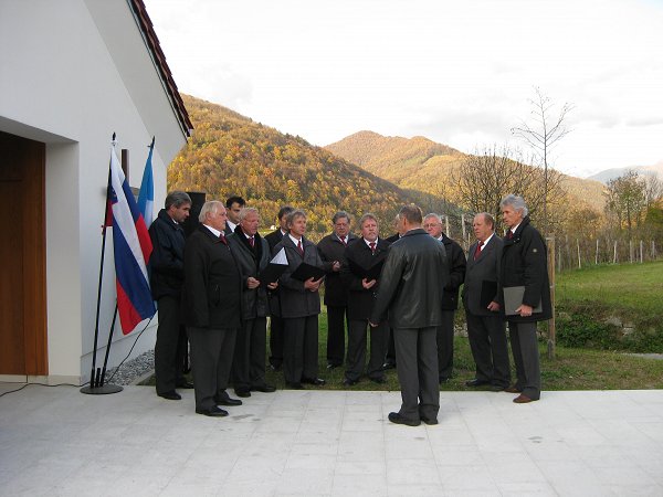 vezica v avcah 6