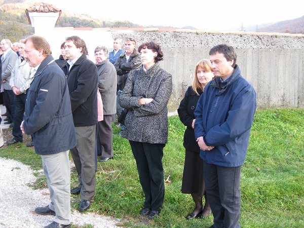 vezice avce 12