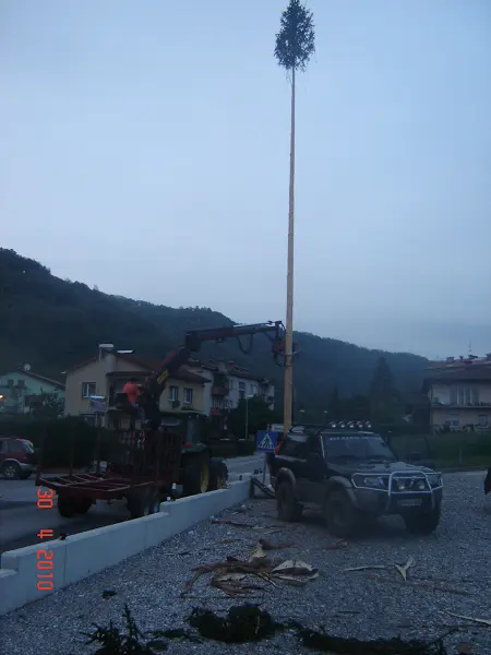 mlaj 10