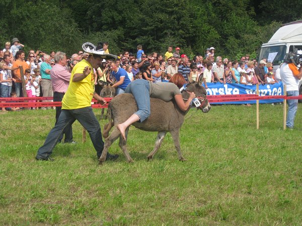 Mušje dirke