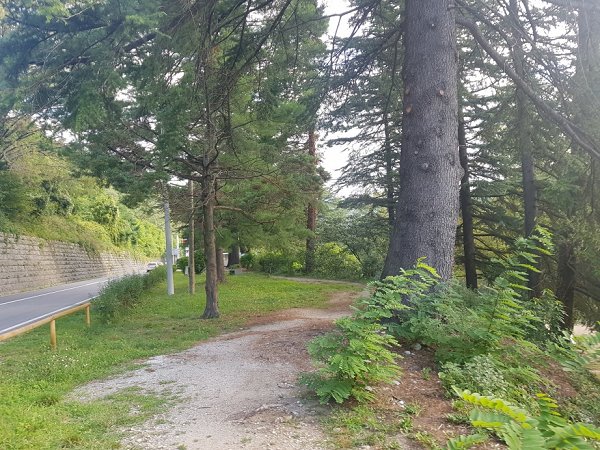 Park_2.jpg