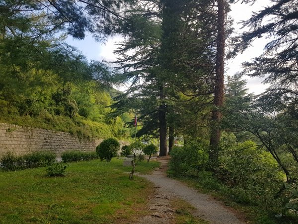 Park_3.jpg
